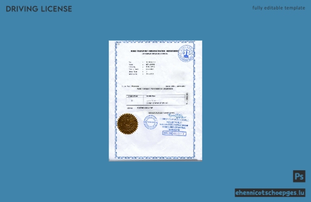 Kostenlose Beispielvorschau des myanmarischen Führerscheins
